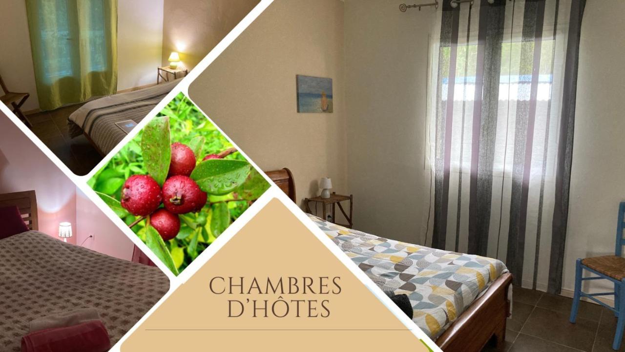 Bed and Breakfast Au Coeur De La Cascade Biberon La Plaine des Palmistes Exteriér fotografie